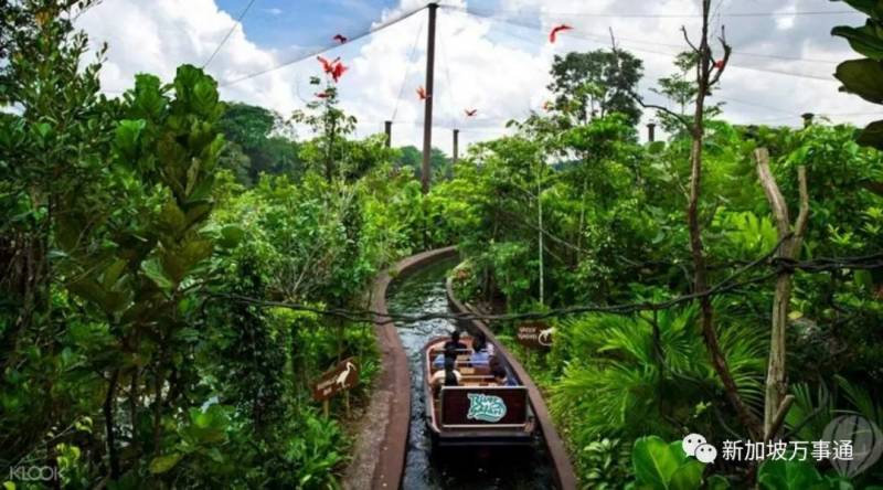 富豪移居.......新加坡最佳選擇