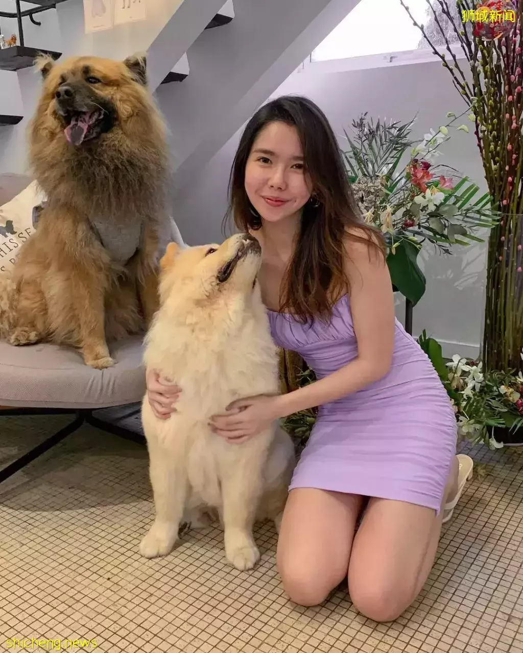 吃喝撸狗兩不誤!新加坡15家寵物友好咖啡廳 · 快上小可愛一起去體驗吧