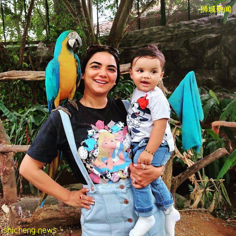 裕廊飞禽公园门票半价折扣!购票时输入优惠码,就能享受50%优惠🐦