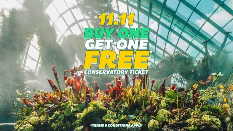 【每周折扣】終于等到你，新加坡雙十一終極攻略請查收