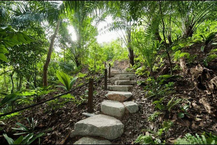 新加坡植物園爆火新景點,不知道怎麽去?手把手教你遊玩攻略