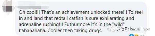 新加坡小桂林钓到大红尾鲶鱼!却不知不觉中违法了