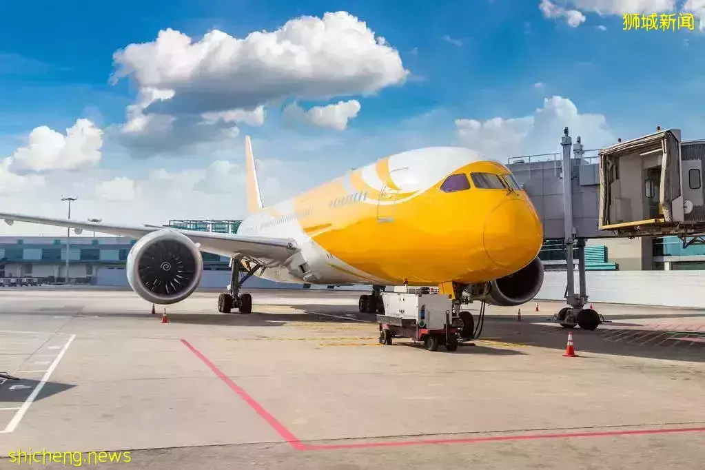 中国驻新加坡使馆:新加坡转机回国最新要求