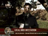 這16個俚語多數新加坡人都能運用自如 遊客卻聽得一頭霧水