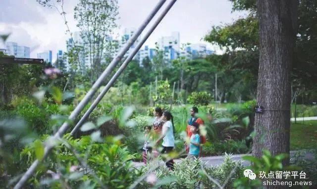 为什么这么多人选择新加坡？3分钟了解新加坡移民优势