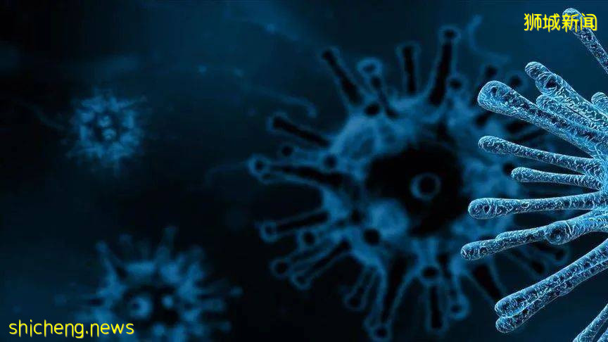 可怕!印度B1617變種病毒正全球傳播,情況可能變更糟