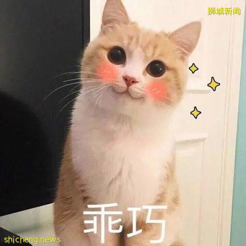 《神奇動物在哪裏之 NTU 篇》