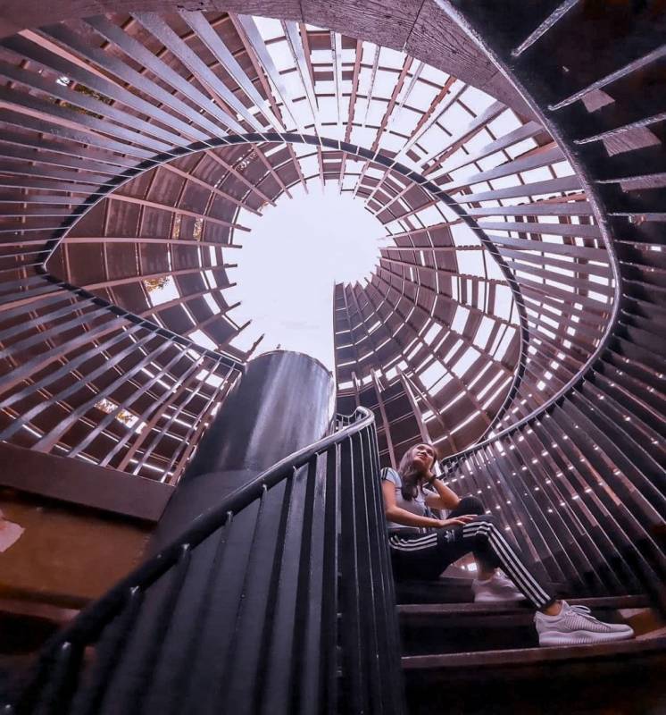 Sungei Buloh濕地保護區🌳 走進濕地，聆聽大自然的聲音🍃 徒步路線攻略、特點介紹、必踩打卡點