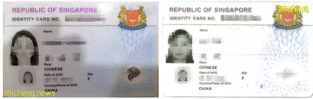 移民新加坡有捷徑？最快20天可火速登陸