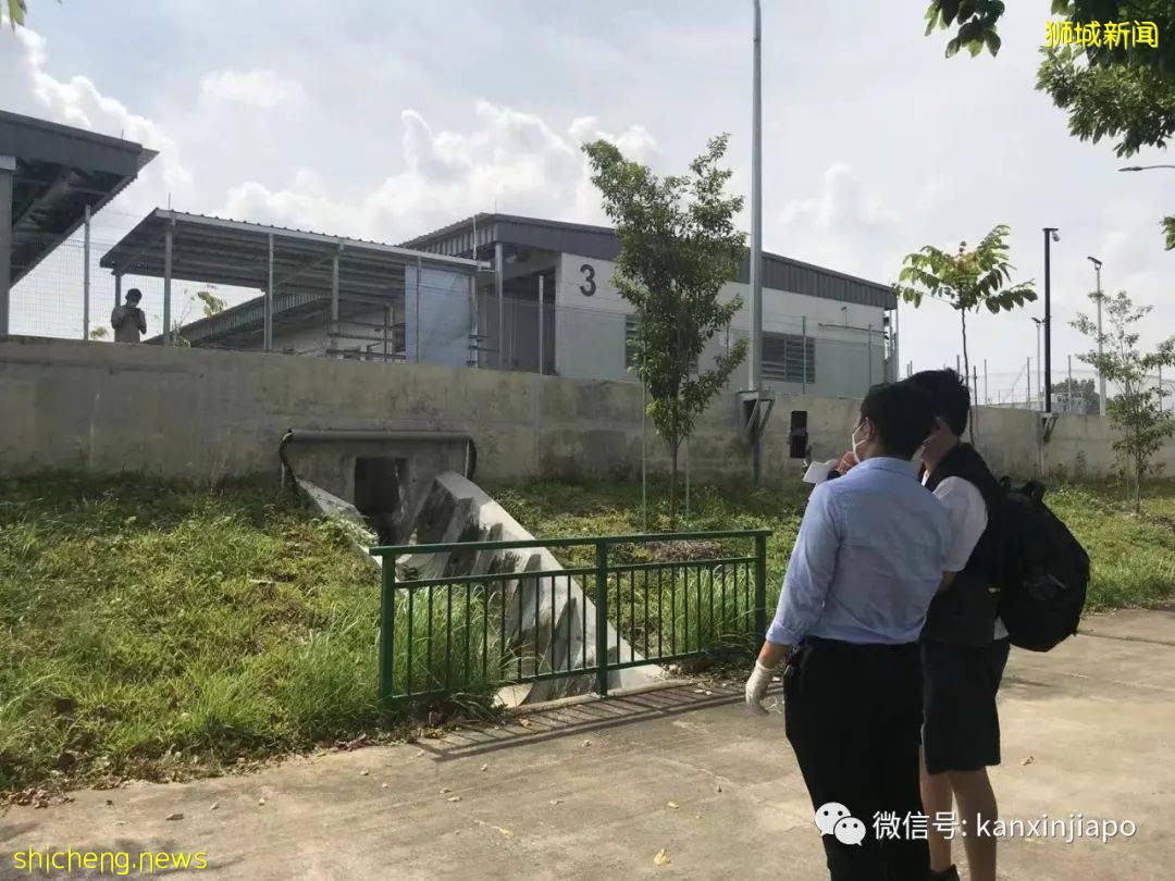 刚来新加坡就确诊咋办？回国前一天确诊咋办？记者谈现场感受