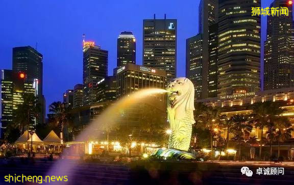 新加坡公司 之 如何运营和维护(年审）