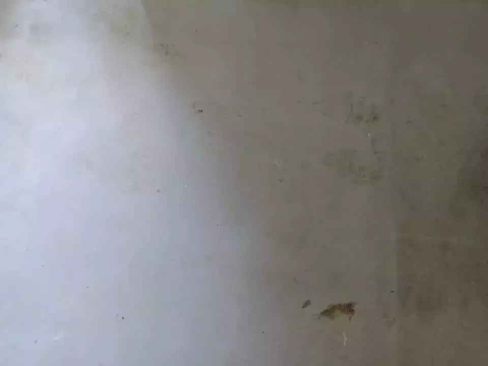 新加坡驚曝總裁殺妻案！鄰居曾聽到尖叫聲，女方已懷孕