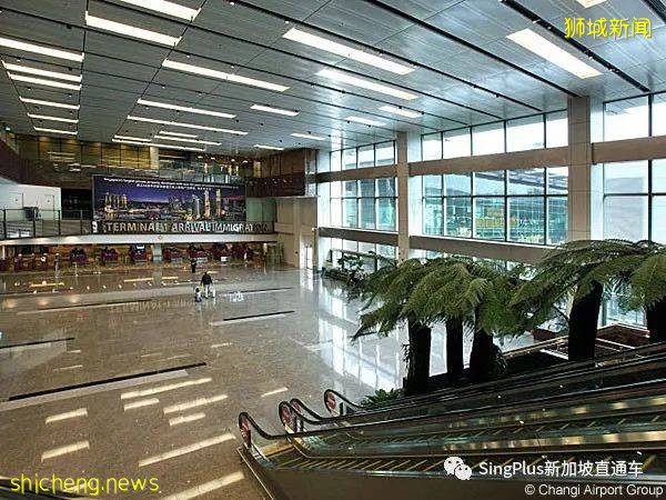 新加坡机场感染群再增7例！多名感染印度B1617变异毒株，包括2名中国籍女子！世卫再次警告