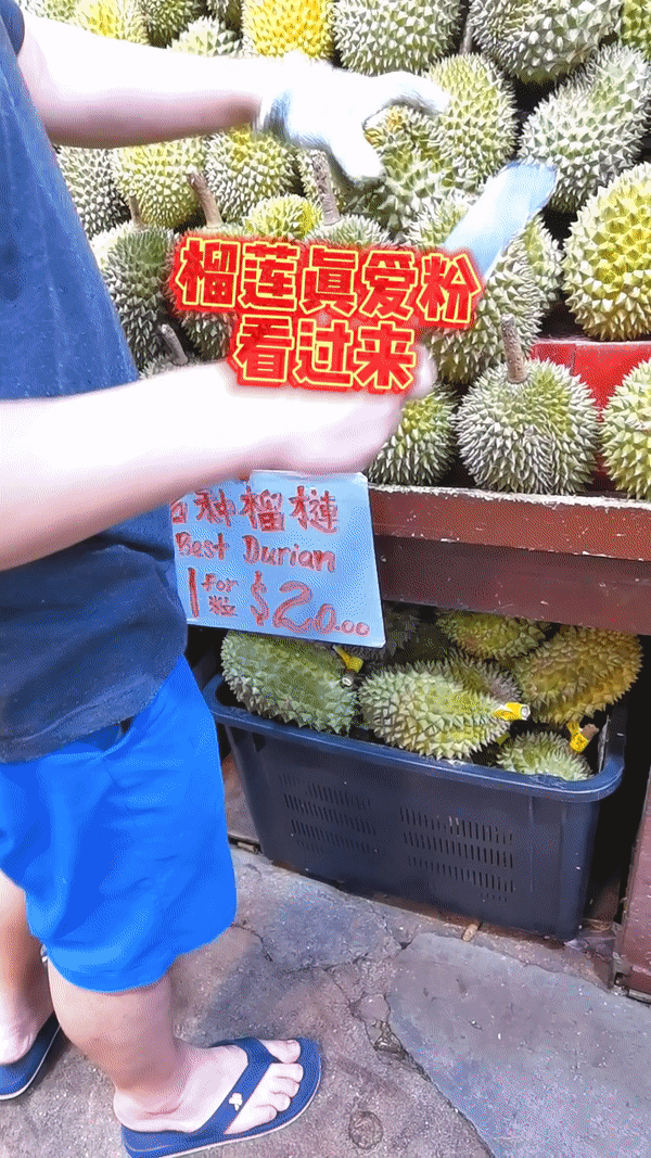 实拍实测！新加坡芽笼那些2元、5元的榴梿到底好吃吗
