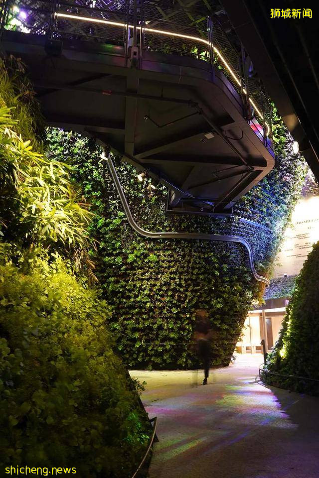 迪拜世博会新加坡展馆：自然之城，展示自然、培育、未来 