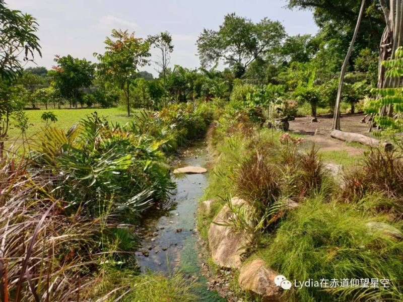 新加坡也有温泉 三巴旺温泉公园