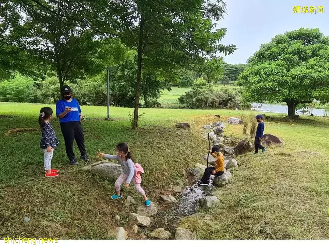 叢林探險、生存挑戰！新加坡戶外學校的6大假期營超級寶藏