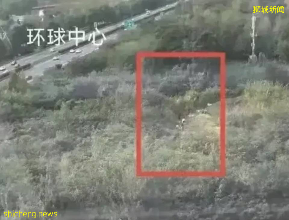 中國駐新加坡大使館最新通知！有人回國瞞報、不閉環隔離、違法中介