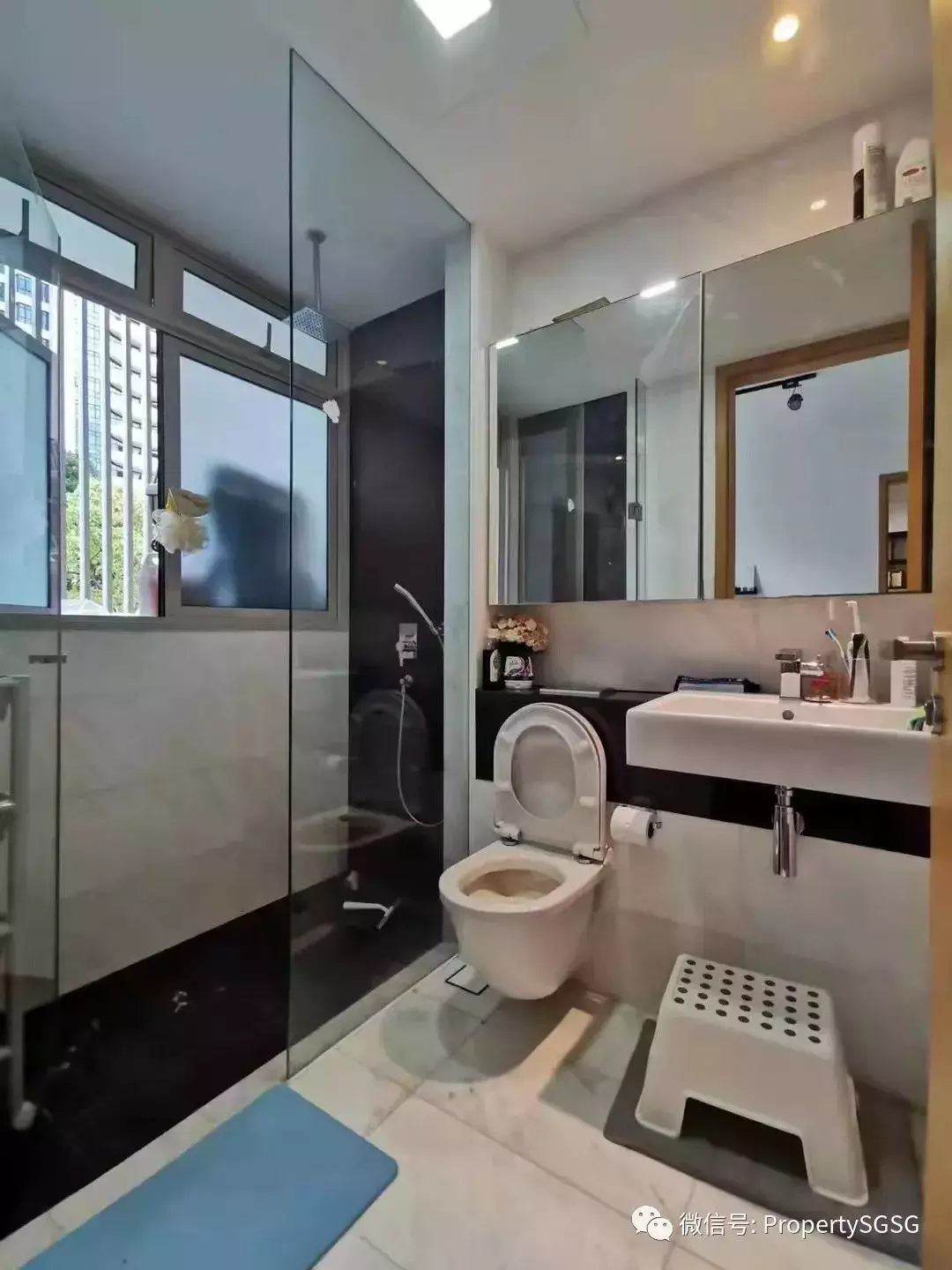 【近期优质/划算二手房源分享】新加坡市区公寓