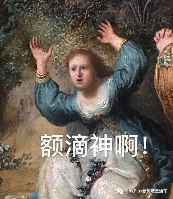 《新加坡高校留学生图鉴》