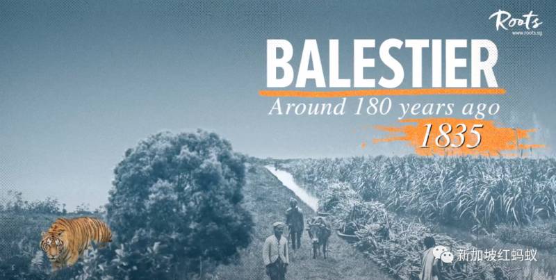 重新发现新加坡:马里士他平凡中的不平凡