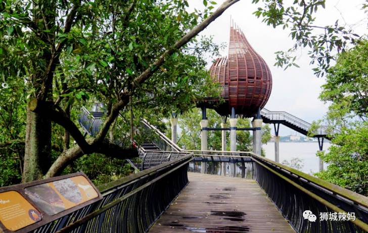 500种热带动植物免费看!超大蜥蜴、候鸟、鳄鱼,新加坡这地儿你肯定没来过