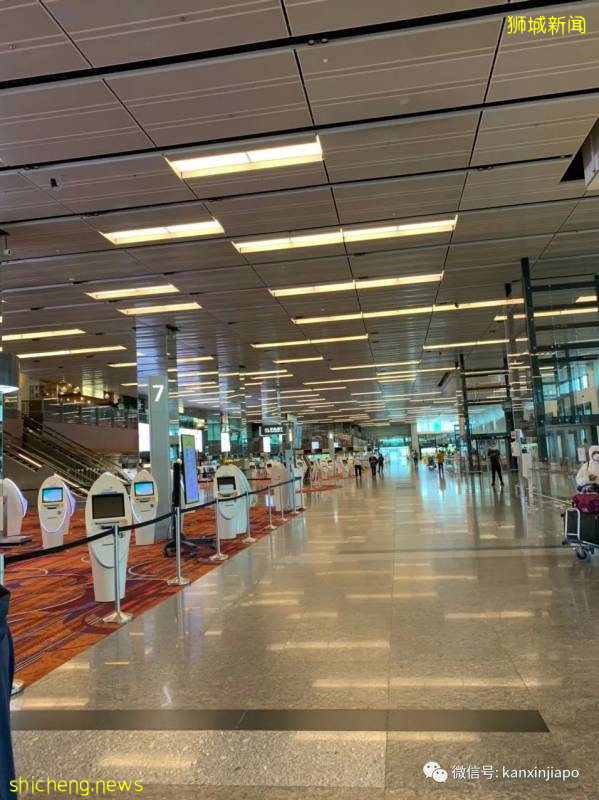 回家一趟真是太难了！新加坡飞南京全记录