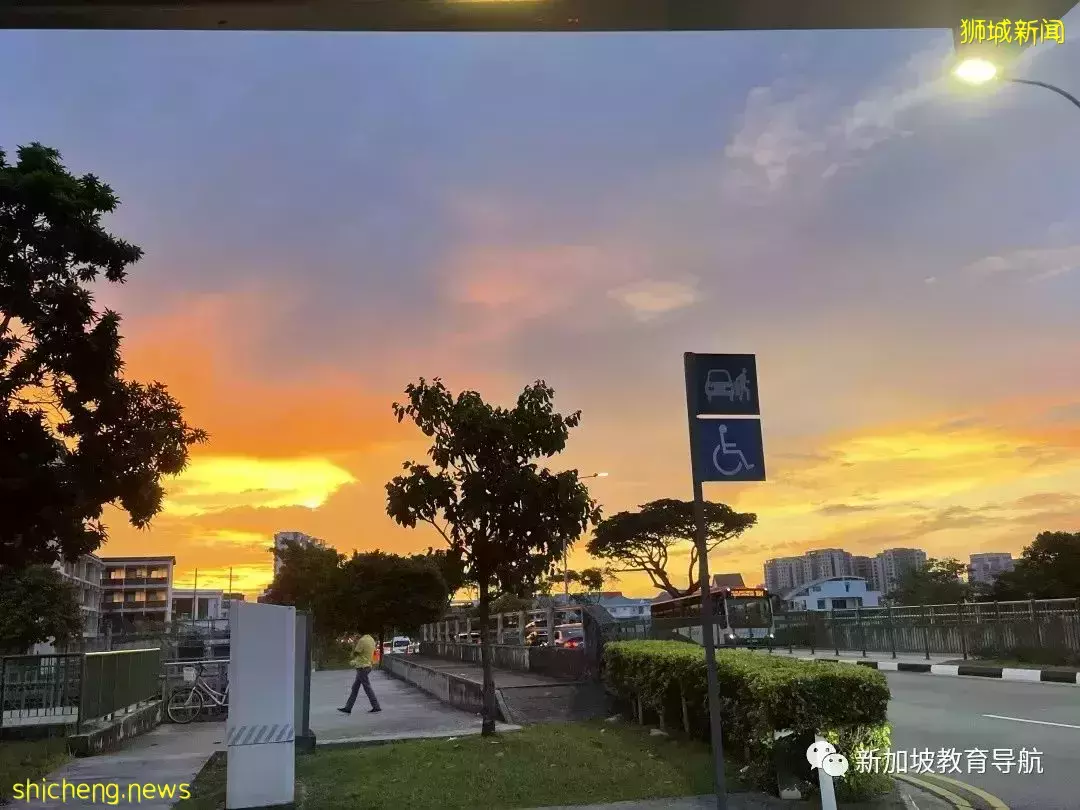 中、美、新三国鼎立哪家强?留学生们用亲身经历告诉你~(一)