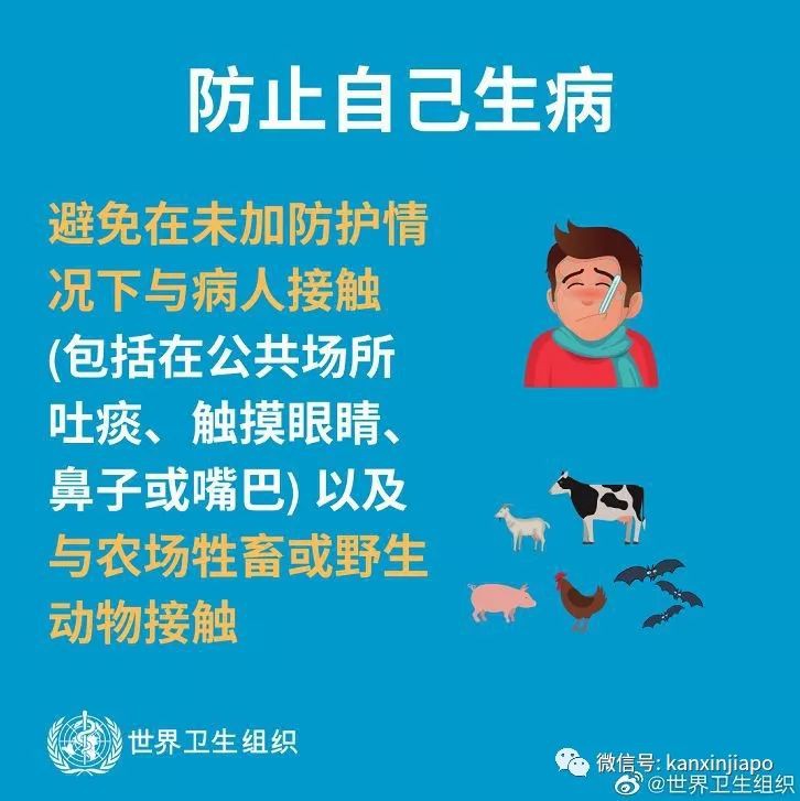 新加坡推出超严抗病毒措施,下飞机可能直接被隔离!