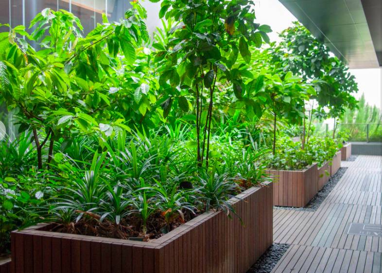 在CBD也可以擁抱綠色自然——細數新加坡那些鬧中取靜的Secret Garden