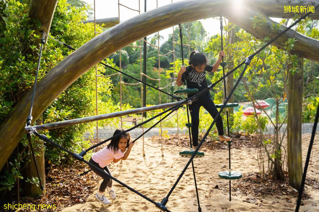 叢林遊樂場、自然博物館、山路徒步……新加坡這個公園翻新後更好玩啦