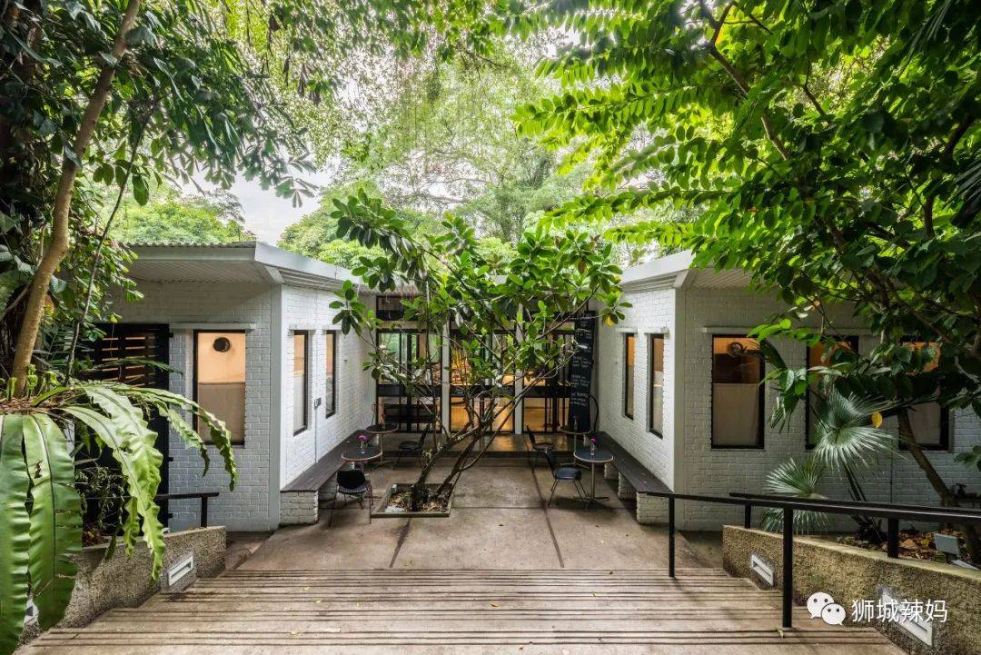 新加坡最in咖啡館，孫燕姿、周傑倫超愛，公開打Call