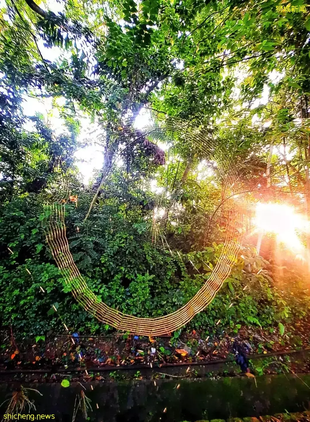 朋友圈刷屏！新加坡天空奇景再現，一波美圖襲來！太美了