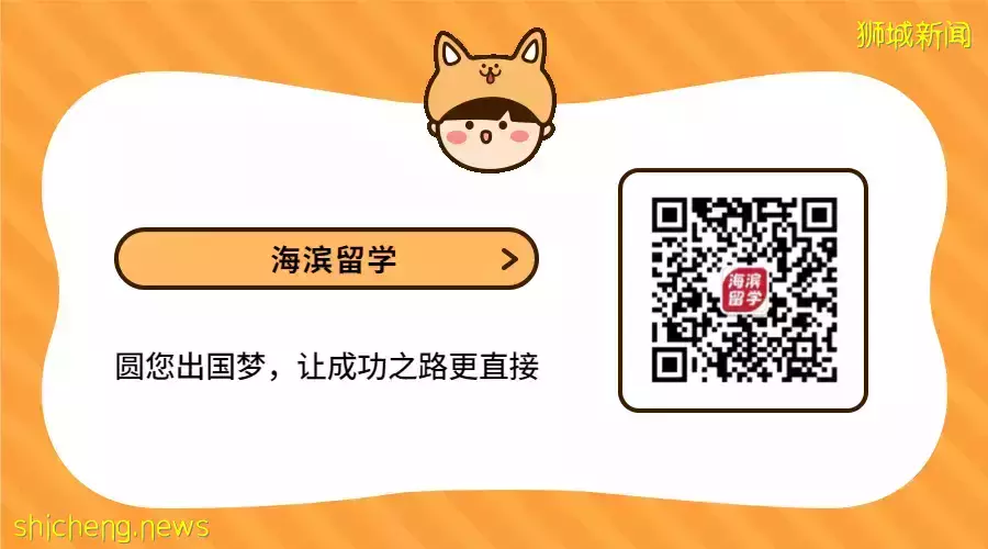 留学新加坡性价比高，课程如何选