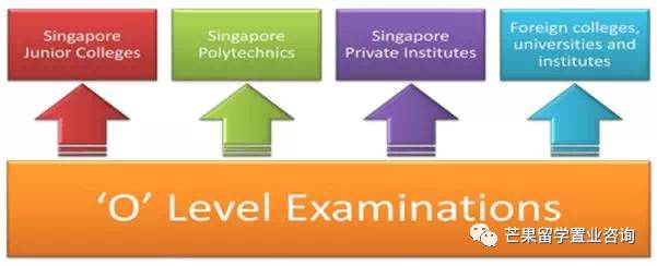 “明星國際學校”——新加坡史丹福美國國際學校