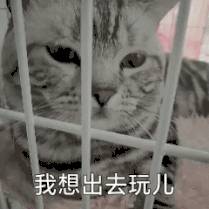 坡島夜生活出行指南！90s旱冰Disco club、室內mini高爾夫bar、高能版密室逃脫等你來玩