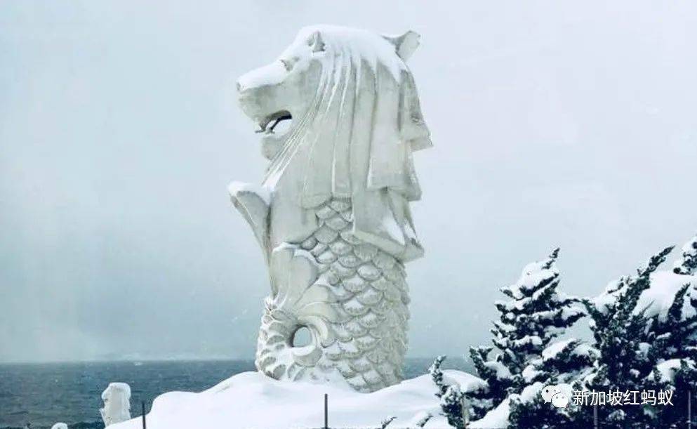 日本和歐洲也有魚尾獅? 它比你我知道的還要神出鬼沒