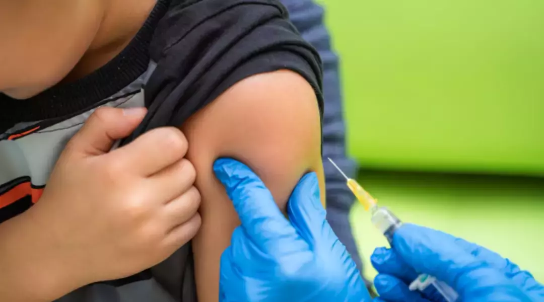 新加坡超12万5至11岁孩童已报名或已接种疫苗,未接种者能继续上学