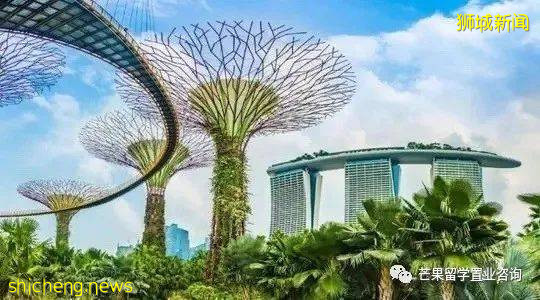 新加坡成立有限公司后续维护至关重要