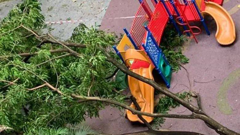 前晚,新加坡电闪雷鸣!美丽也很危险