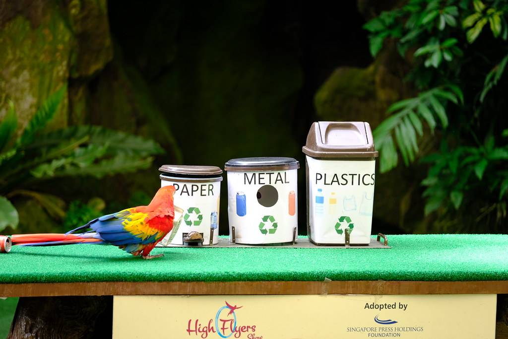 免費送票!帶倆娃嗨翻亞洲最大飛禽園,400多種5000多只鳥,一路驚喜不斷