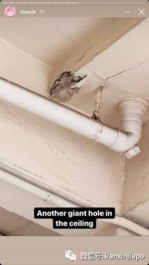 新加坡网红在反对党执政选区生活:“确实与众不同”