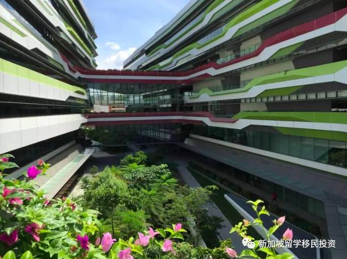 【留學資訊】新加坡公立大學和私立大學申請最全簡介，附申請攻略