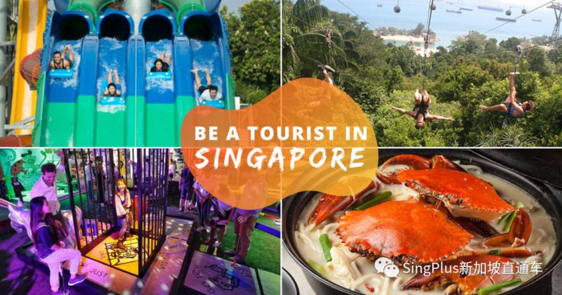 新加坡政府發的100新幣這麽用才最省錢!免費島內遊不是夢